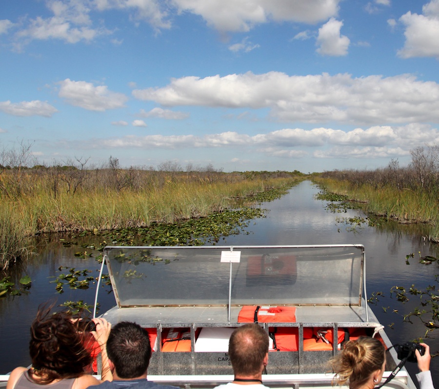 A group of four people in a boat going through the swamp