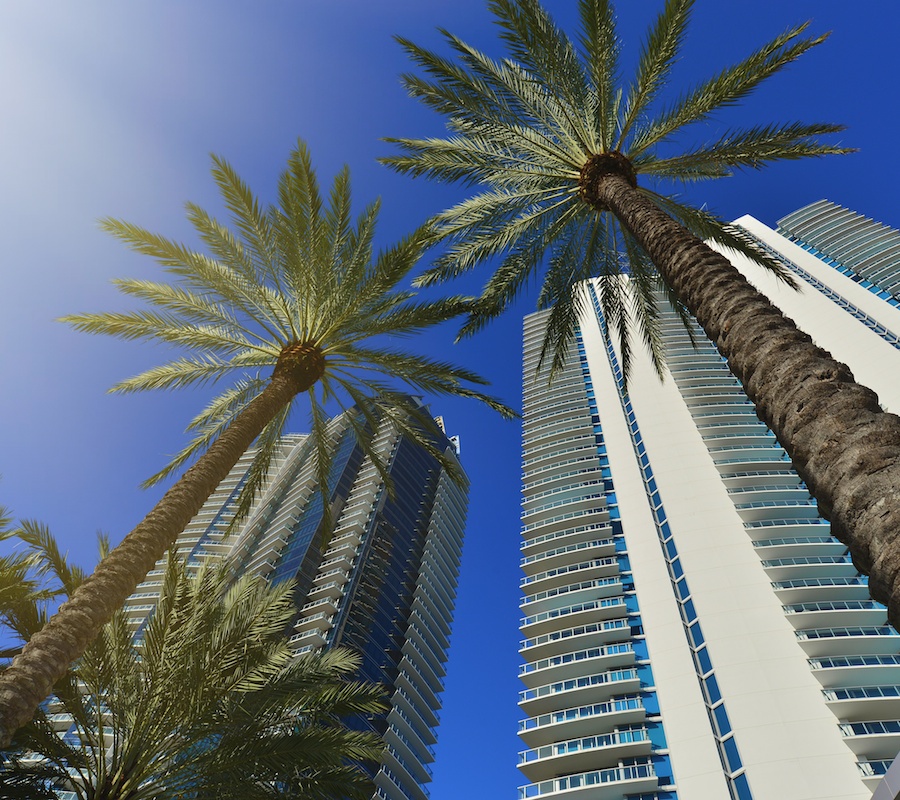 An upward facing picture looking up at tall buildings and two palm trees