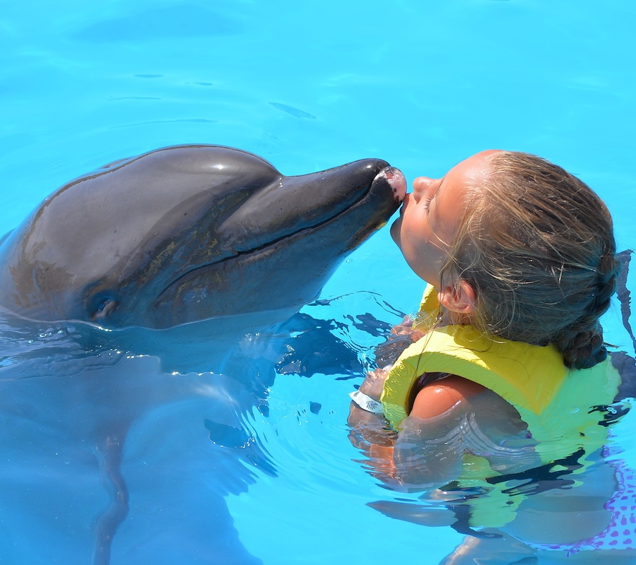 A young girl is in the water kissing a dolphin