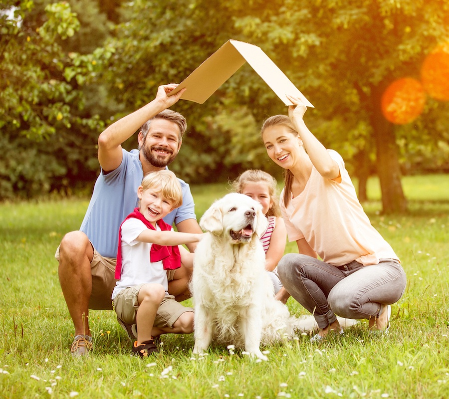 A father and mother are holding a piece of bent cardboard over their heads like a house, and they are sitting outside with a young boy and girl who are petting a white fluffy dog.