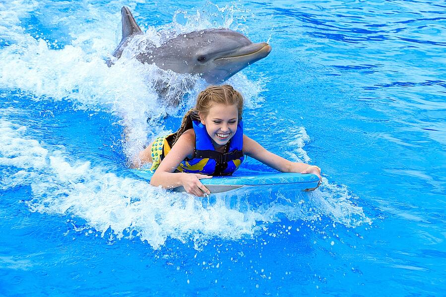A girl is using a kickboard in the water while a dolphin swims behind her