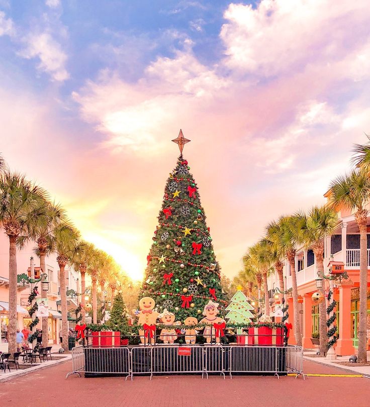 Celebration Florida Christmas Tree
